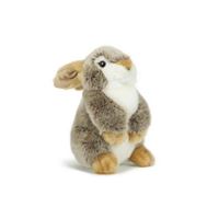 CONIGLIO PELUCHE
